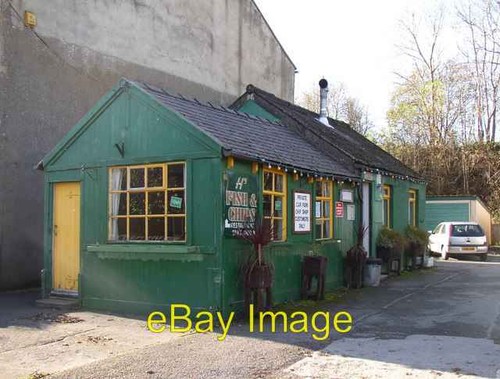 Photo 6x4 fish - photo, chip